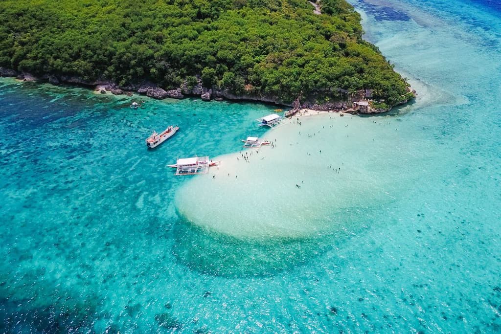 August Boat Adventures with Simba Sea Trips