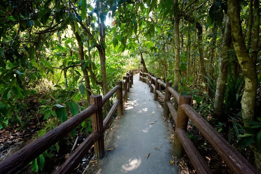 Thung Teao Forest Natural Park