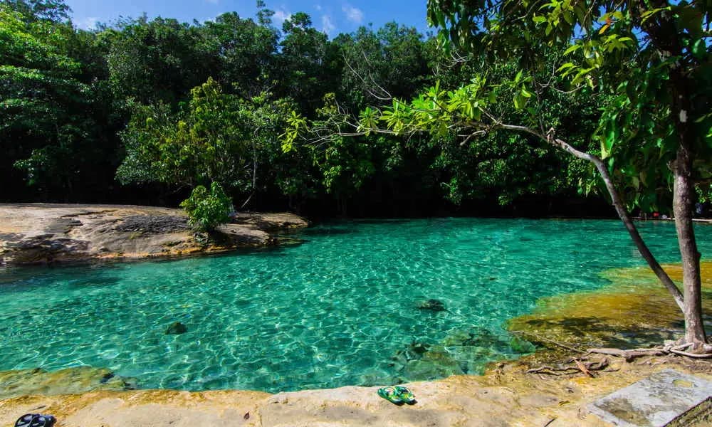 Experience the Emerald Pool in Krabi